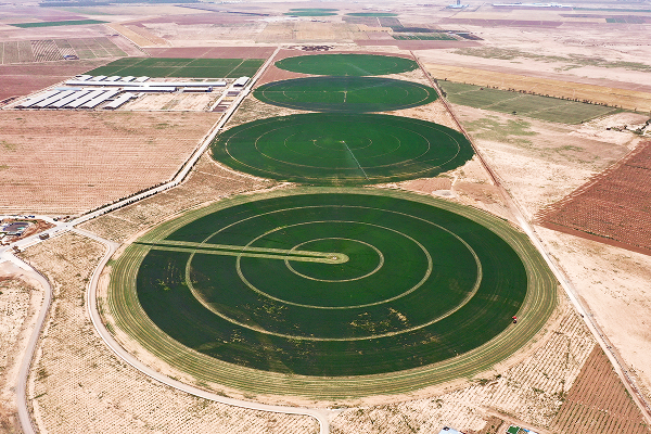 DJI_0193 1
